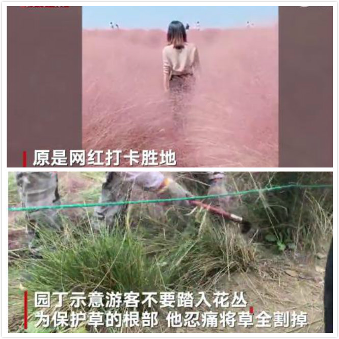 张家口手机台新闻早播报10月16日