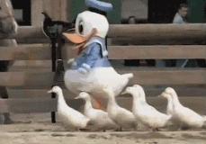 寿命“过刚易折”，身体太硬的人健康堪忧！“解冻”身体，就这一招