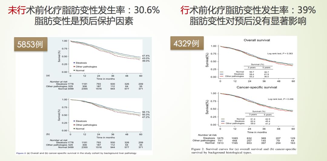 肿瘤化疗药物性肝损伤诊治指南,化疗对弥漫性肝损伤有影响吗