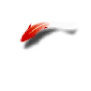 身上长囊肿结节息肉是怎么回事,结节息肉囊肿老中医教你一招