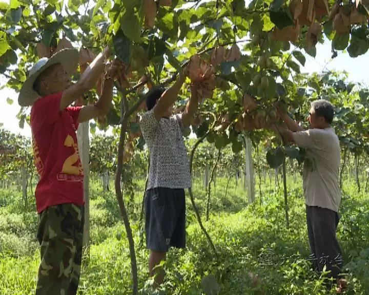 魅力中国城崇左vs大足视频,魅力中国城让你知道