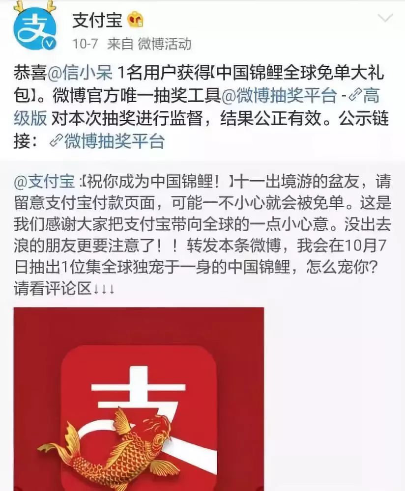 锦鲤骗局细思极恐,锦鲤骗局揭秘最新消息