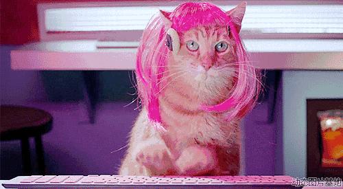 头秃拯救方式,头秃怎么拯救额头