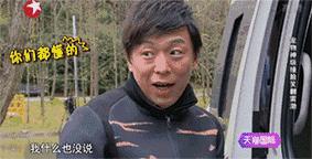 五个月的牛头梗好养吗,牛头梗这么丑为什么还有人养