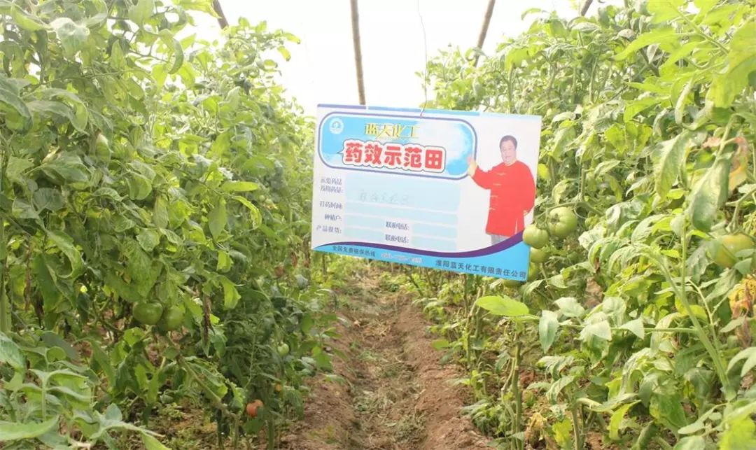 病毒感染发热出汗是好事还是坏事,晚上发热出汗是病毒感染的嘛