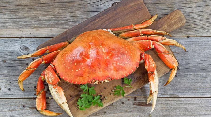 柿子不能和哪些食物一起吃教案,柿子不能和什么一起吃容易结石