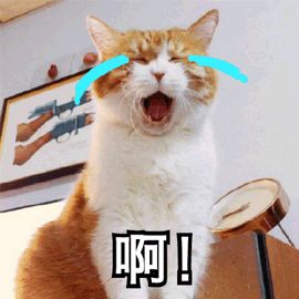 超便宜面霜秋冬,哪些面霜是最实惠的最好的