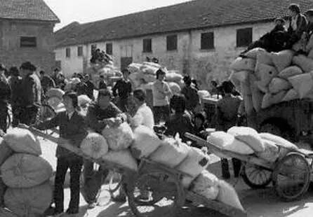 80年代交公粮真实情景视频,回忆三十多年前交公粮的情景