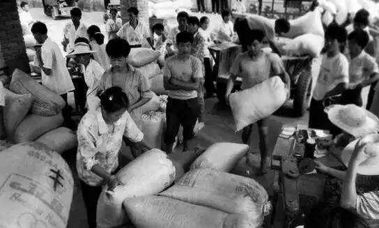 80年代交公粮真实情景视频,回忆三十多年前交公粮的情景