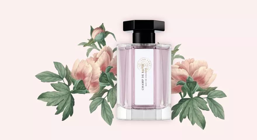 沙龙香水测评,沙龙小众香水怎么样