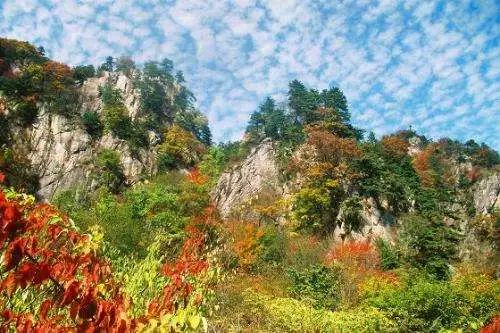 河南秋季最美红叶,河南十大红叶观赏地