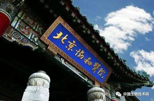 患者招募｜北京协和医院肿瘤内科开展信迪利单抗联合化疗一线治疗晚期肺癌的临床研究