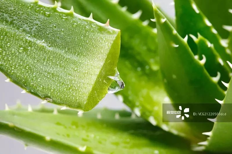 手脚冻疮怎么治断根,冬季治手脚干裂冻疮有效的药