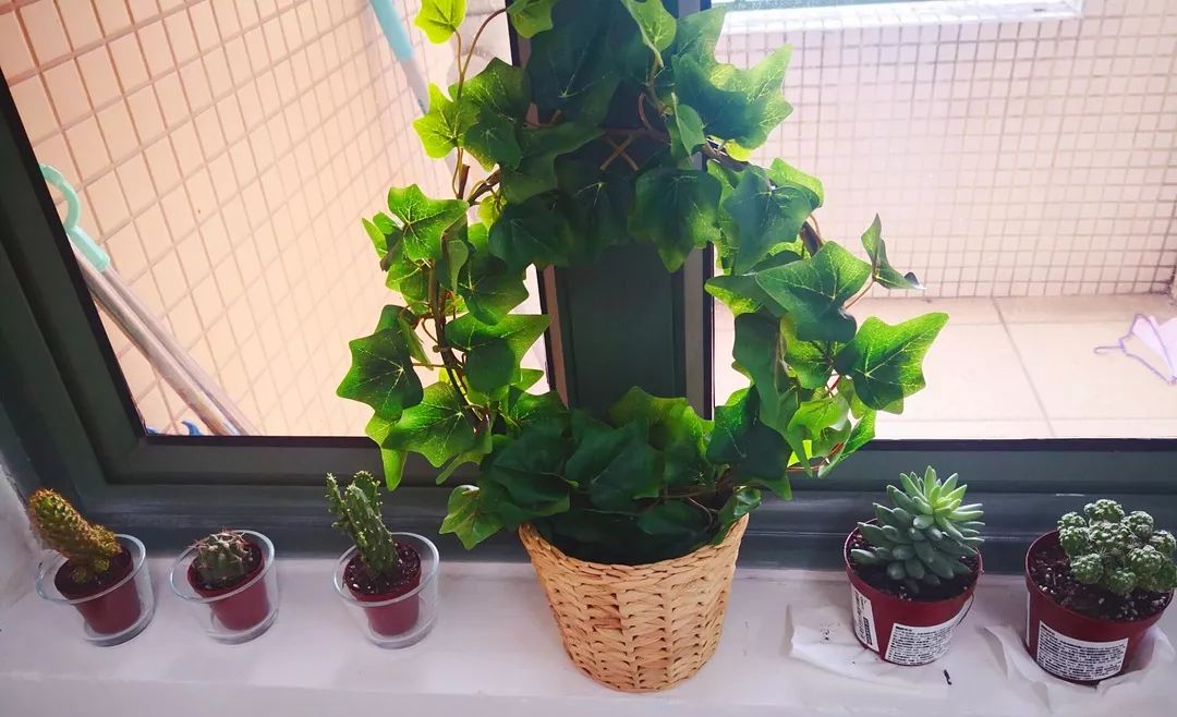 大学寝室竟可变这样！川大靓寝告诉你：我们住的不是寝室，是青春！（有彩蛋）