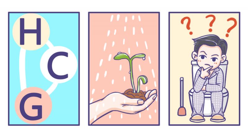 hcg卫浴属于什么牌子,hcg是尿促针还是绒促针