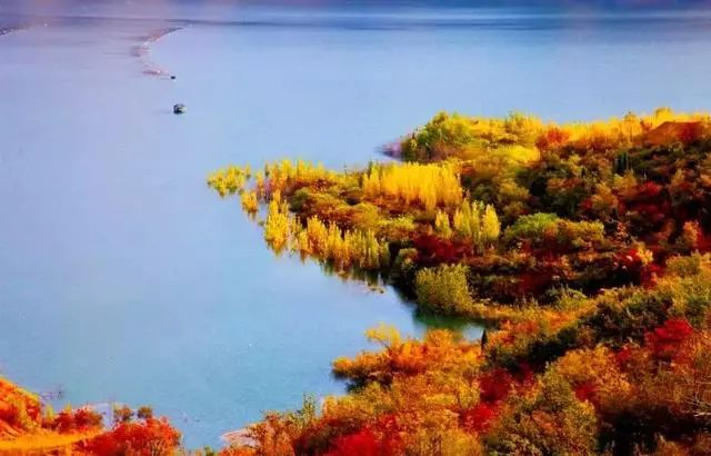 河南秋季最美红叶,河南十大红叶观赏地