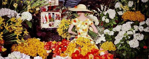 聊生活聊各个领域,聊生活话题有哪些