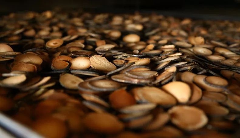 清肺神器,清肺散结神器