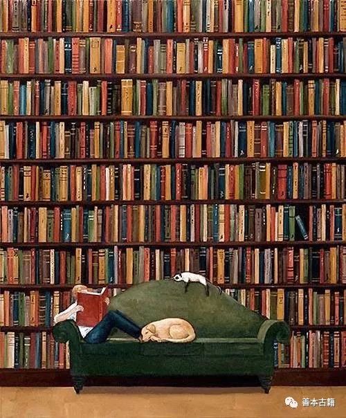 书瘾者的喜乐与忧惧