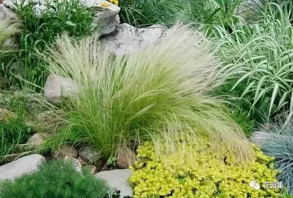 庭院花园的实用技巧,庭院花园最佳布局