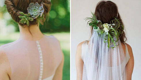 鍞湁鑲夎倝瀵规垜涓嶇涓嶅純,鍙湁鑲夎倝瀵规垜涓嶇涓嶅純