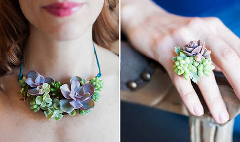 鍞湁鑲夎倝瀵规垜涓嶇涓嶅純,鍙湁鑲夎倝瀵规垜涓嶇涓嶅純