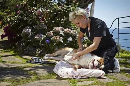 全球最有意思的11个酒店职位：松露猎手、日落风笛手、美人鱼指导员……你知道多少？