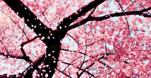 不用的乳液拿来换钱花！白鹭跨境购给晋城的小主们发福利啦~