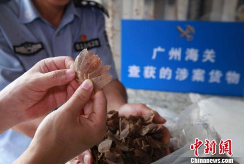 小便宜贪不得！华人过海关被截，只因携带了这些东西……