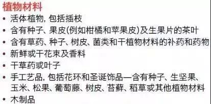 小便宜贪不得！华人过海关被截，只因携带了这些东西……