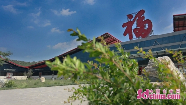 福牌阿胶和东腾阿胶哪个好,福牌的阿胶怎么样