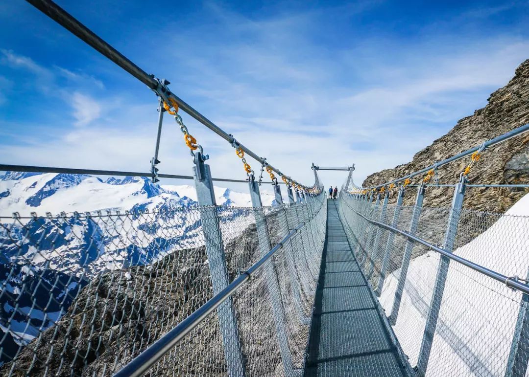 阿尔卑斯有什么坏处,阿尔卑斯起源于什么