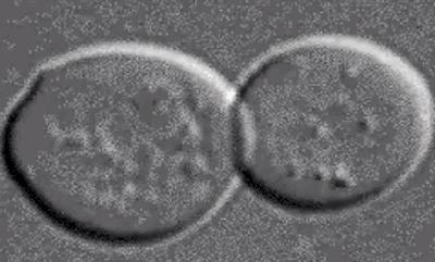 46项专利的汉麻袜，7天不洗也不臭，99.9%高效抑菌，秒速排汗-5℃