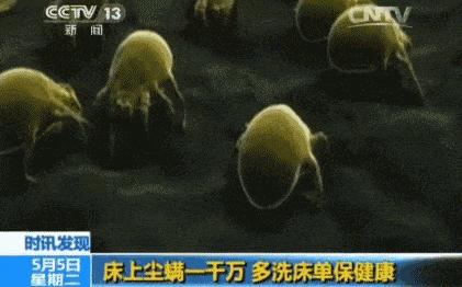 棉花被与蚕丝被哪个好,棉花被跟蚕丝被哪个好