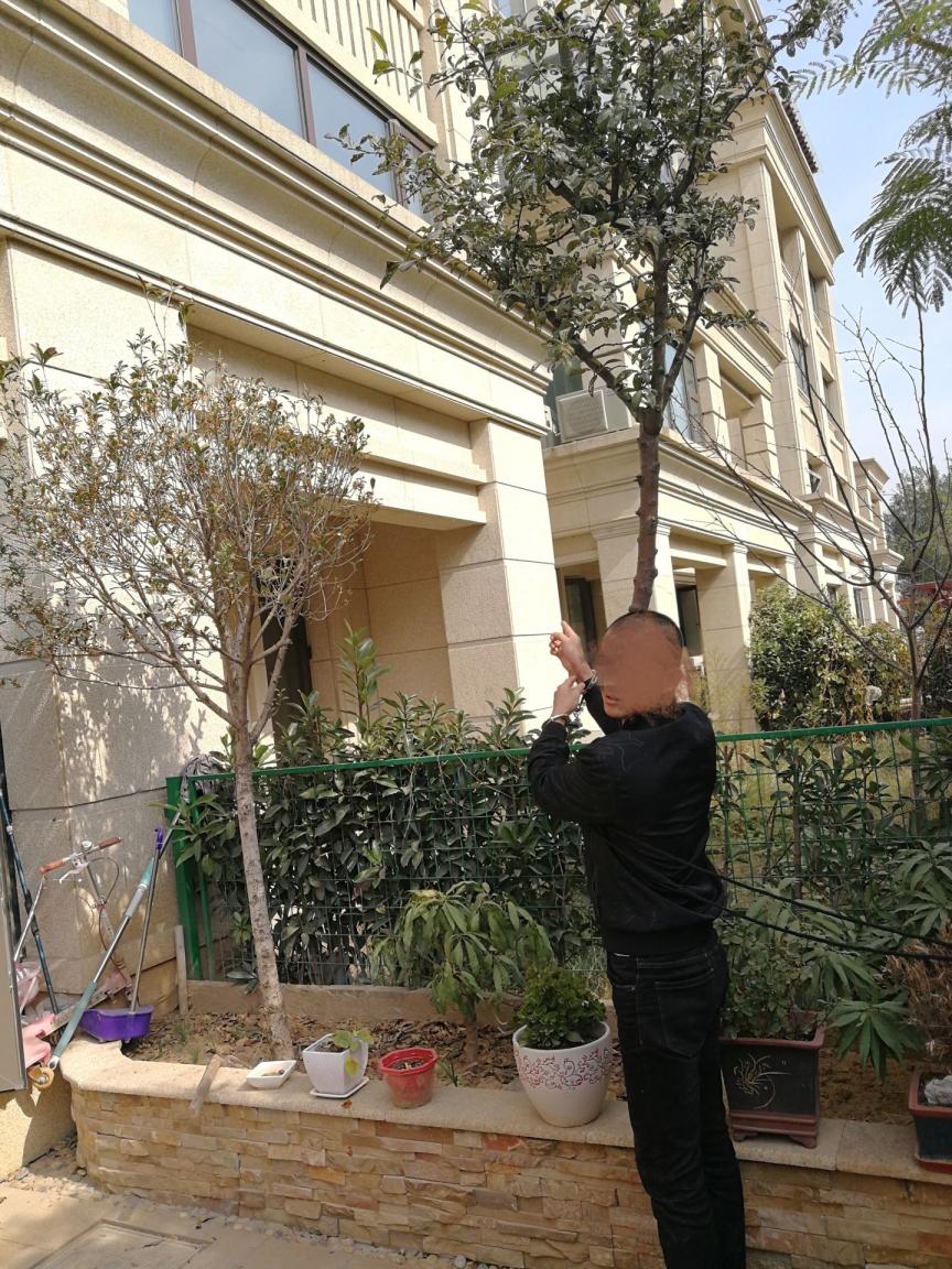 小偷入店盗窃事件,胆子太大了敢敲门偷东西