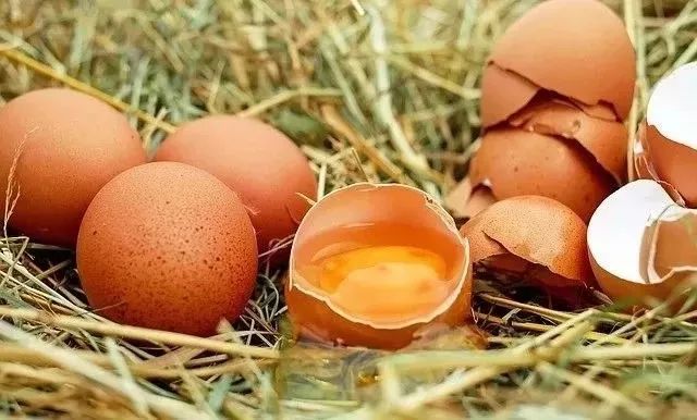 奶奶给孙子吃过期食品吃出事,奶奶误给孙子吃鱼中毒