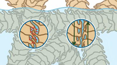 毛衣起球的原因是什么,毛衣起球说法