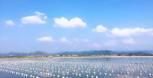 正品珍珠粉100%纯天然,老牌子国货珍珠粉口服