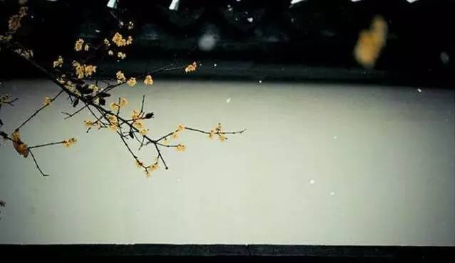 千古奇文醒世养心全文,千古奇文醒世良言