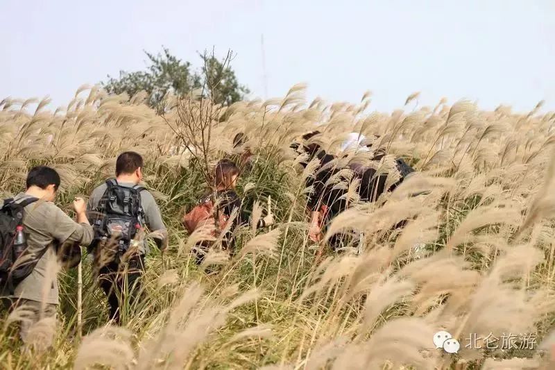 爱爬山的人都爬什么山,爱爬山的山里人完整版