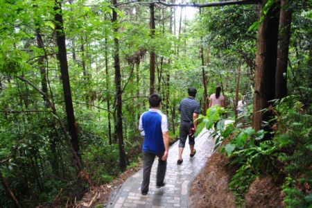 爱爬山的人都爬什么山,爱爬山的山里人完整版