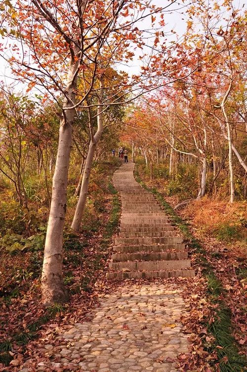 爱爬山的人都爬什么山,爱爬山的山里人完整版