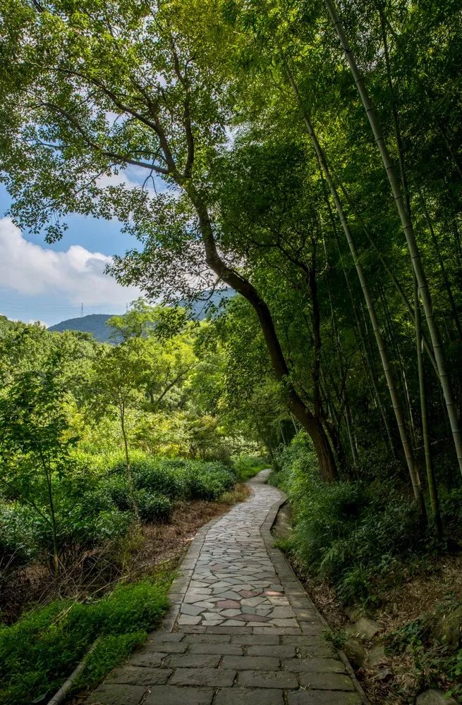 爱爬山的人都爬什么山,爱爬山的山里人完整版