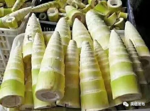 「关注」英德这件“宝”火了！出口货值达5600多万美元！占全省同类产品出口额七成！