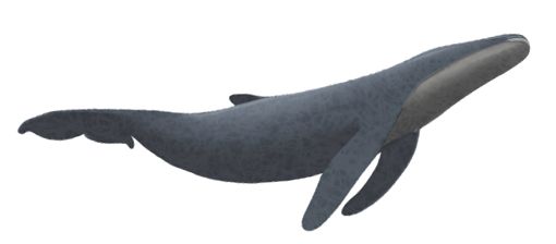 鍦ㄨ繖閲屼笌缇庡ソ涓嶆湡鑰岄亣,鍦ㄨ繖閲屼笌鍘嗗彶鐩搁亣浣滄枃