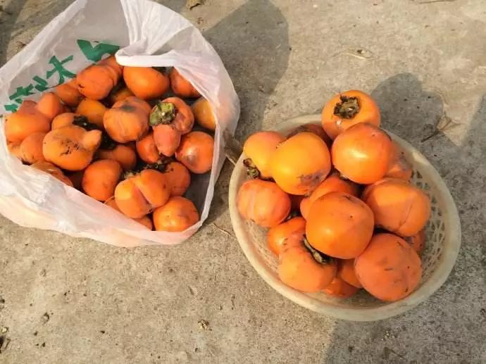 「925丨提醒」男子体内长了两大团……医生却说：快喝可乐！喝一个星期！