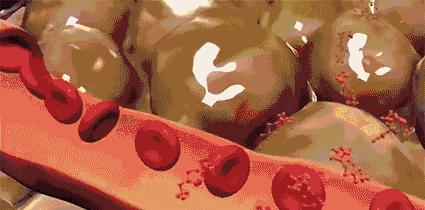 假期结束如何摆脱假期综合症,如何缓解和应对假期综合症