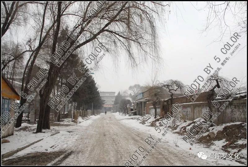 吉林市吉丰东路街景,吉林市吉丰路拍摄视频