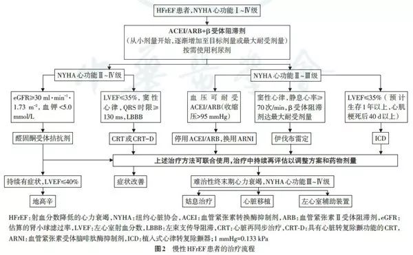 hfref治疗原则,慢性肾炎指南解读