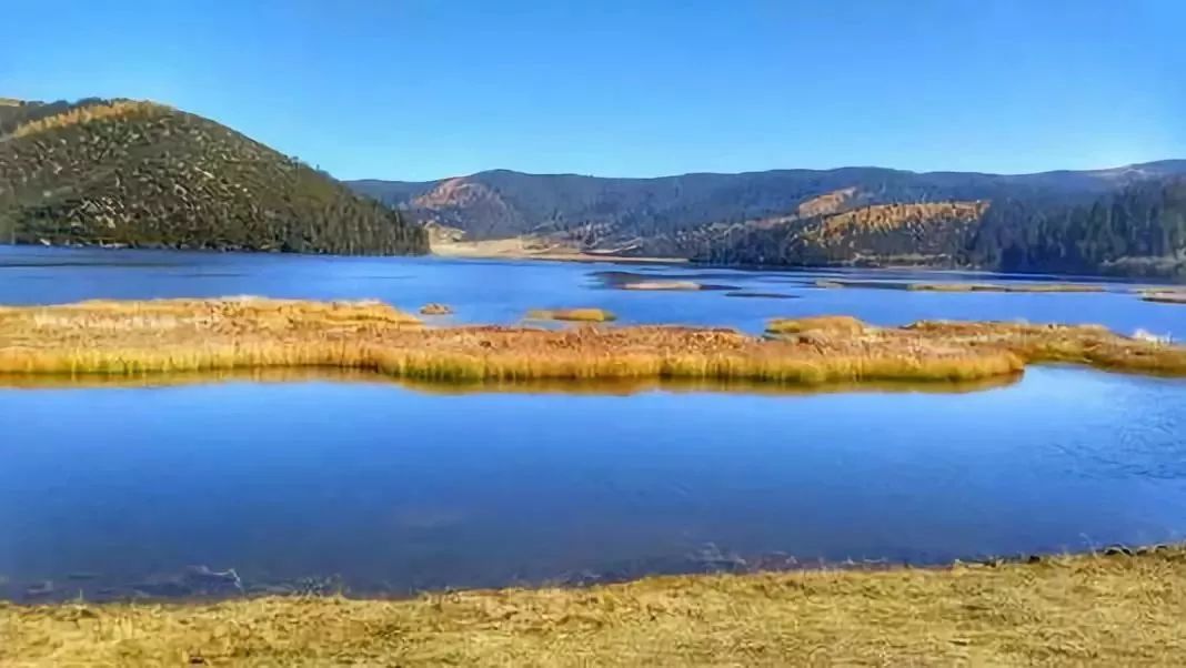 云南昭通市十大强镇排名,全国百强电商县